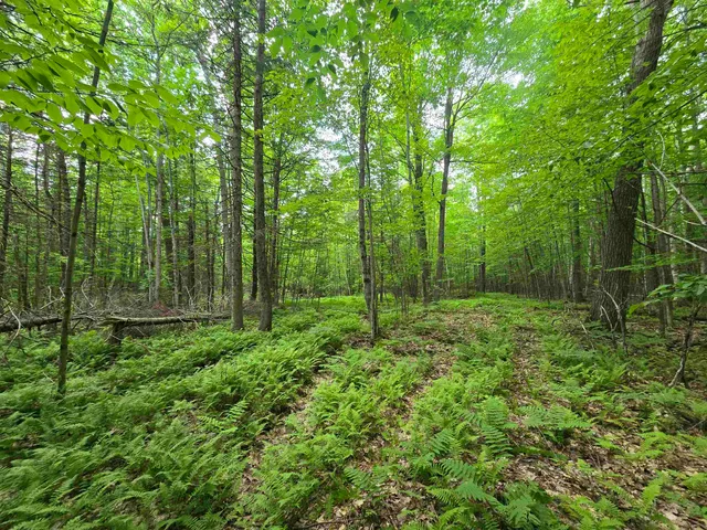 $190,000 | 882 Morse Road, Woodsville, NH 03785