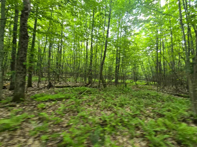 $190,000 | 882 Morse Road, Woodsville, NH 03785