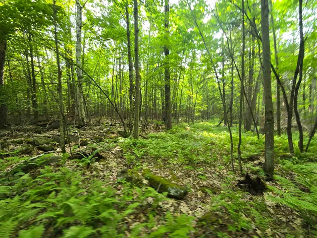 $190,000 | 882 Morse Road, Woodsville, NH 03785