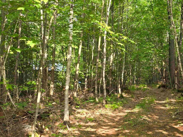 $190,000 | 882 Morse Road, Woodsville, NH 03785