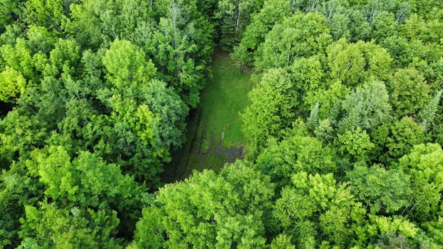 $190,000 | 882 Morse Road, Woodsville, NH 03785