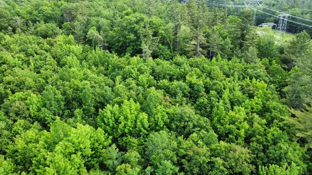 $190,000 | 882 Morse Road, Woodsville, NH 03785