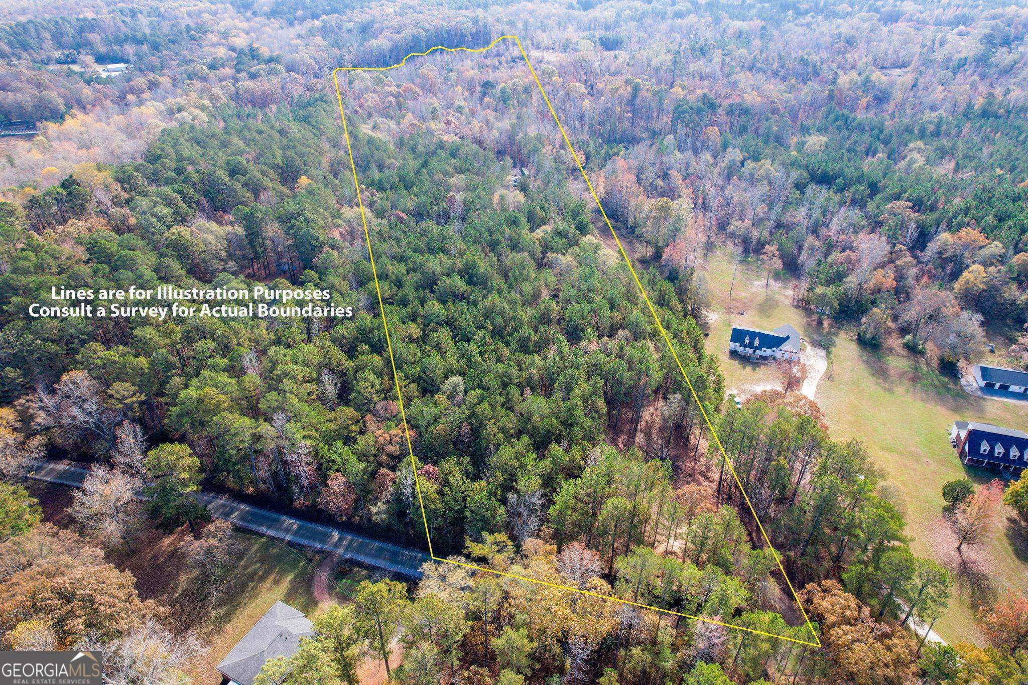 a view of a garden with plants and a bench
