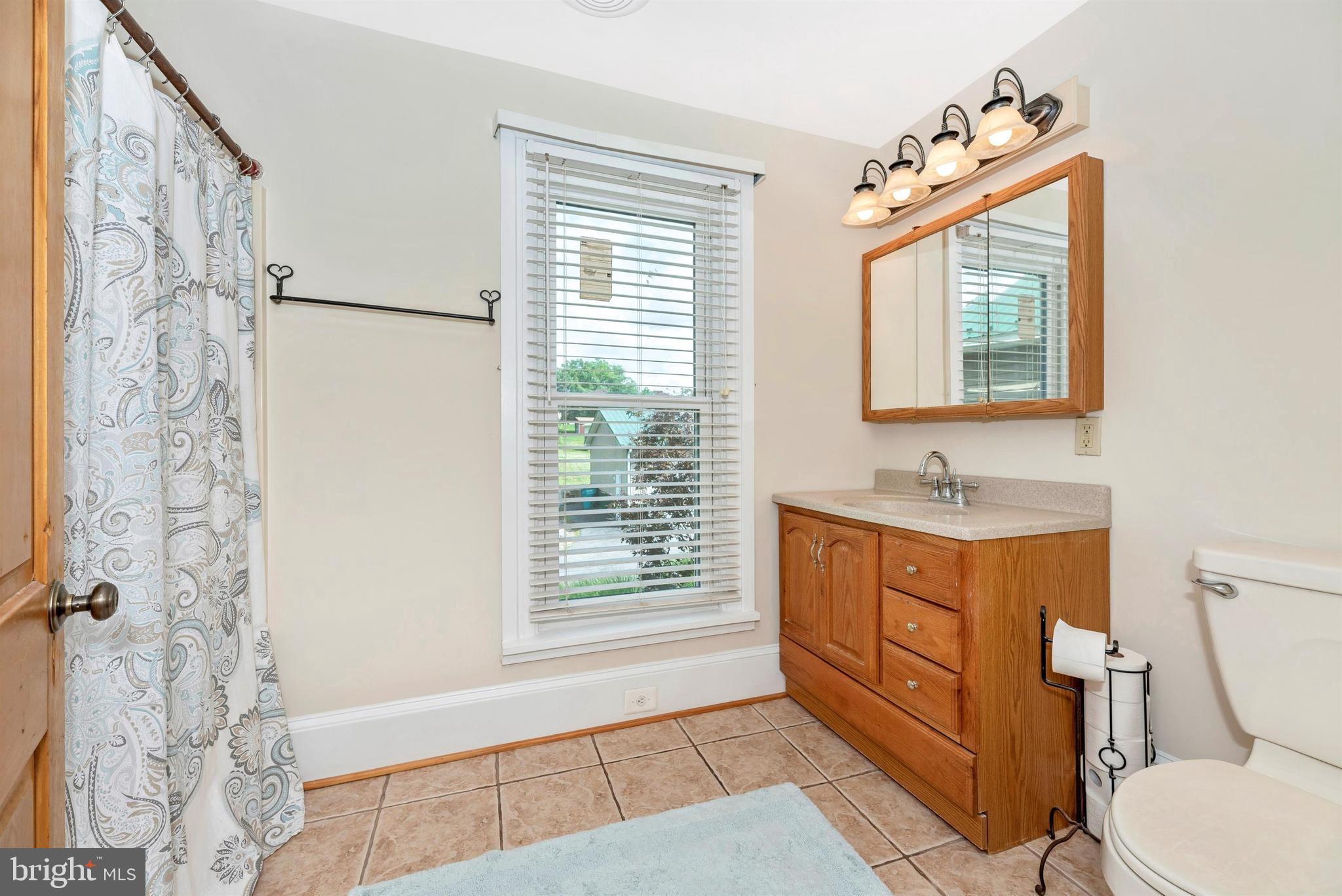 9915 Rocky Ridge Road Rocky Ridge, MD 21778 - Photo 57 of 105 Owners Bath