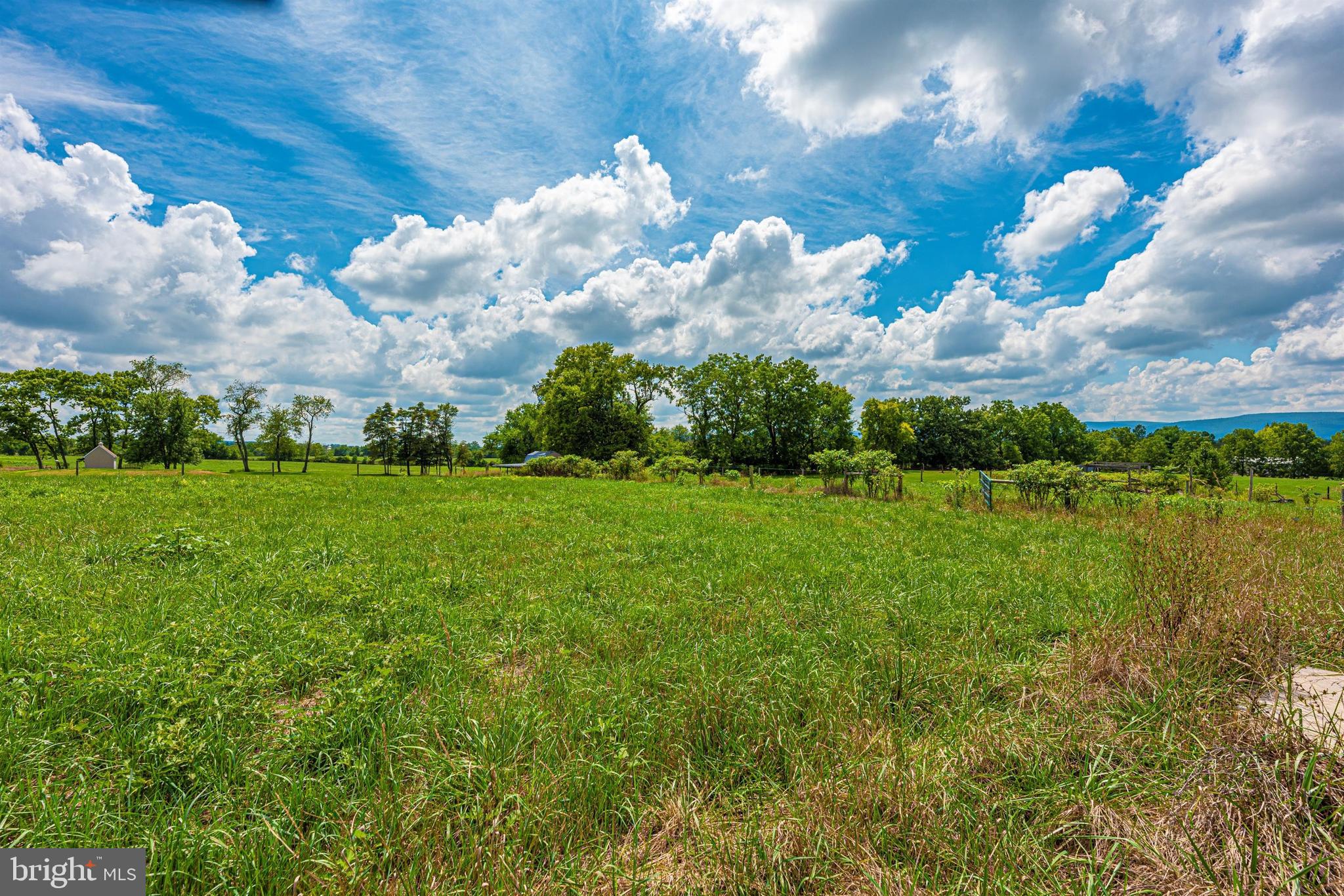 9915 Rocky Ridge Road Rocky Ridge, MD 21778 - Photo 98 of 105 Pasture