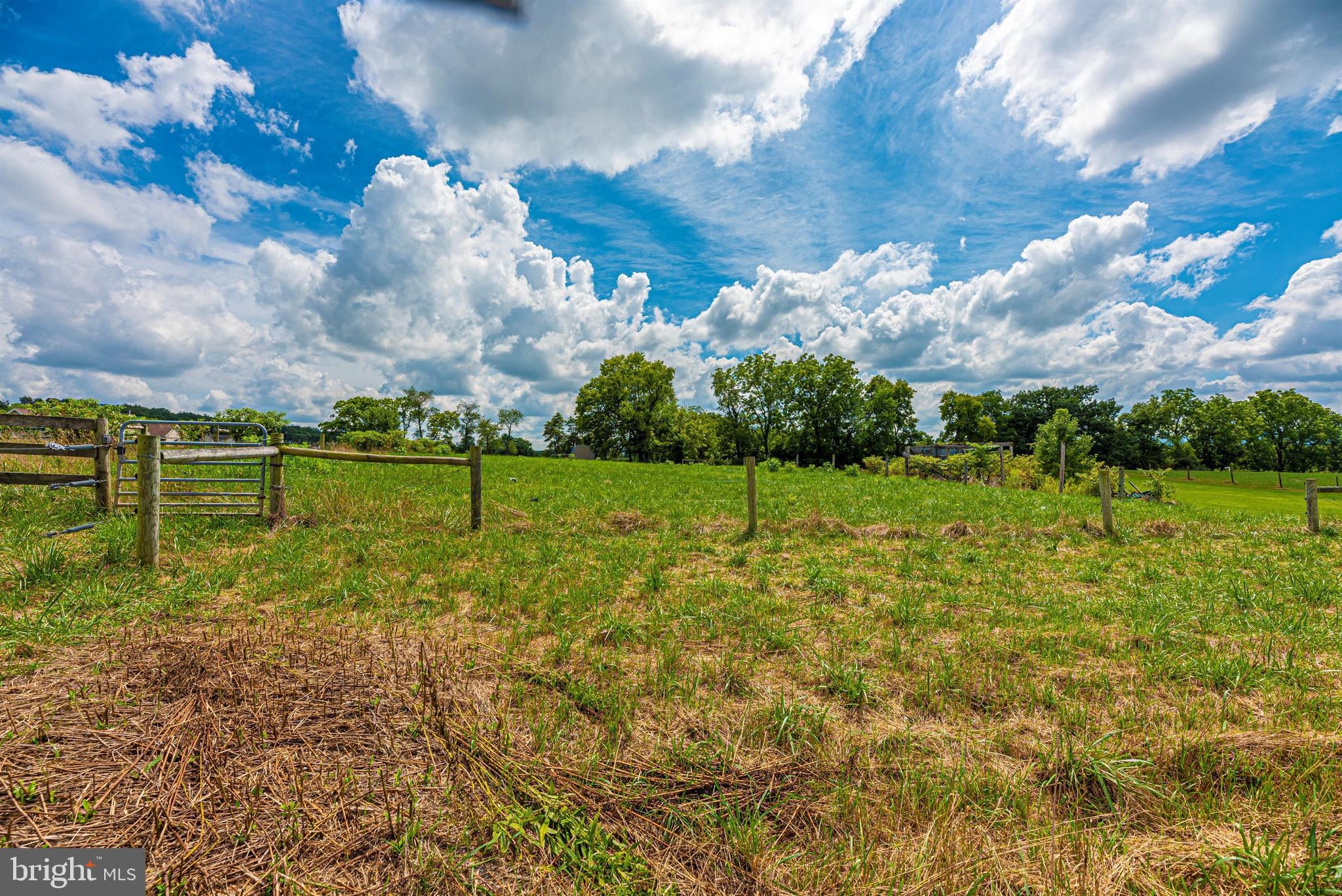 9915 Rocky Ridge Road Rocky Ridge, MD 21778 - Photo 99 of 105 Pasture