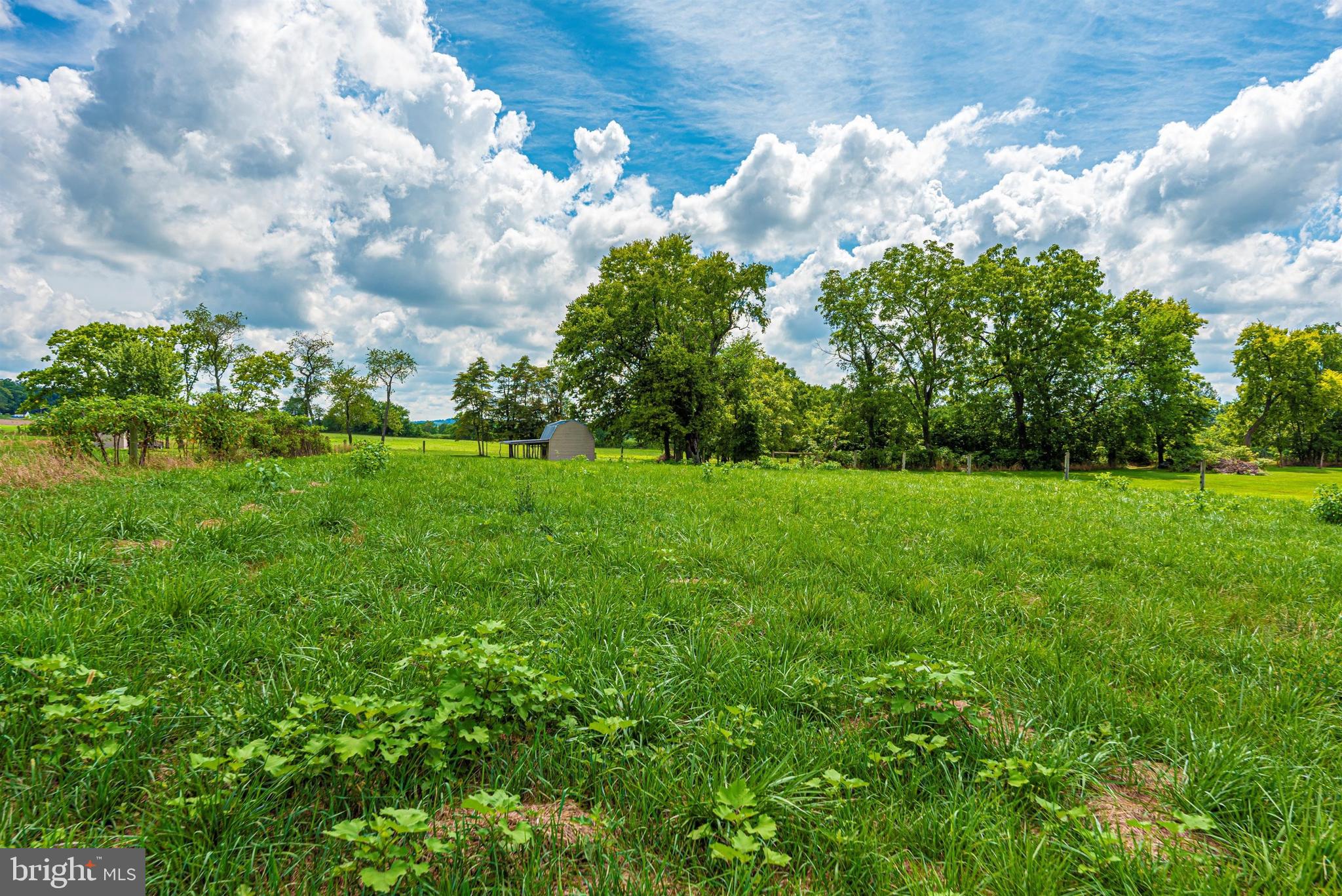 9915 Rocky Ridge Road Rocky Ridge, MD 21778 - Photo 100 of 105 Pasture