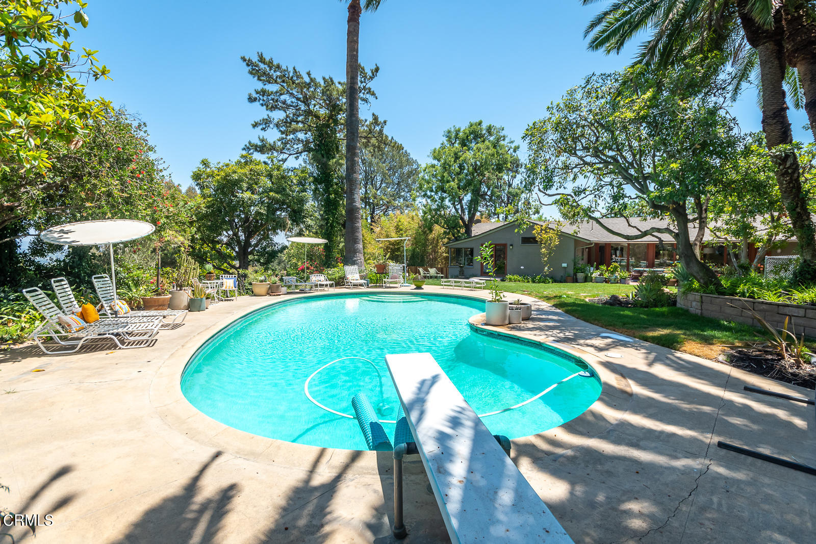 1471 Normandy Drive Pasadena, CA 91103 - Photo 36 of 41 a view of a swimming pool with a lounge chairs