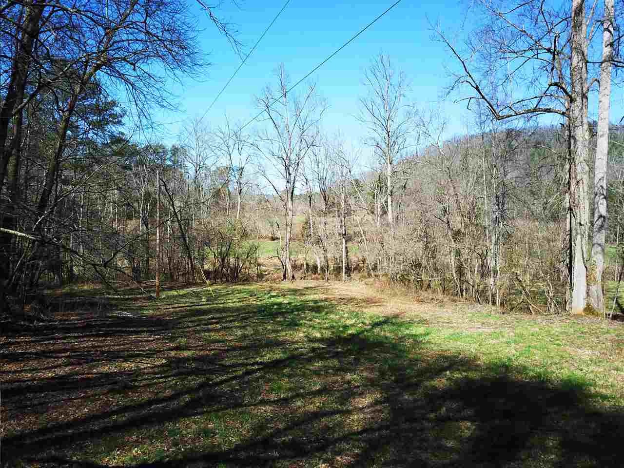 0 Towee Pike Reliance, TN 37369 - Photo 20 of 41