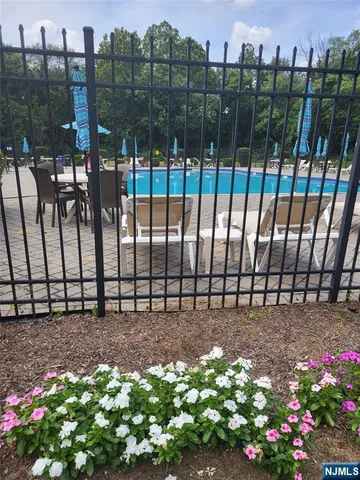 a view of a bunch of flowers