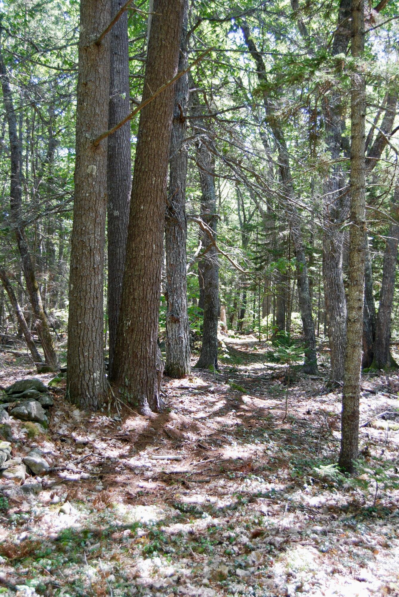 7 Whispering Pines Road Bristol, ME 04539 - Photo 6 of 12 DSC_0133
