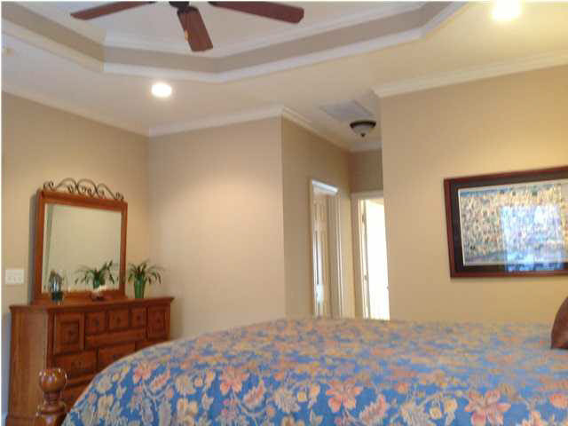 407 Edgewood Crossing Brandon, MS 39042 - Photo 12 of 25 Master has lovely tray ceiling