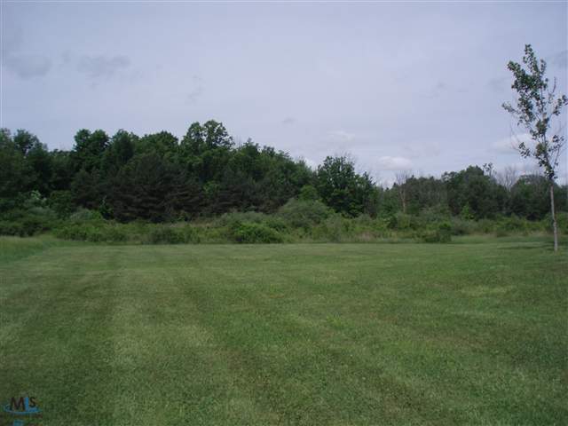1610 Wadhams Road St. Clair, MI 48079 - Photo 8 of 30 31105157-7.JPG
