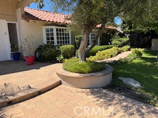 10821 Vida Drive, Unit 4 Villa Park, CA 92861 - Photo 3 of 6 a view of a backyard with potted plants