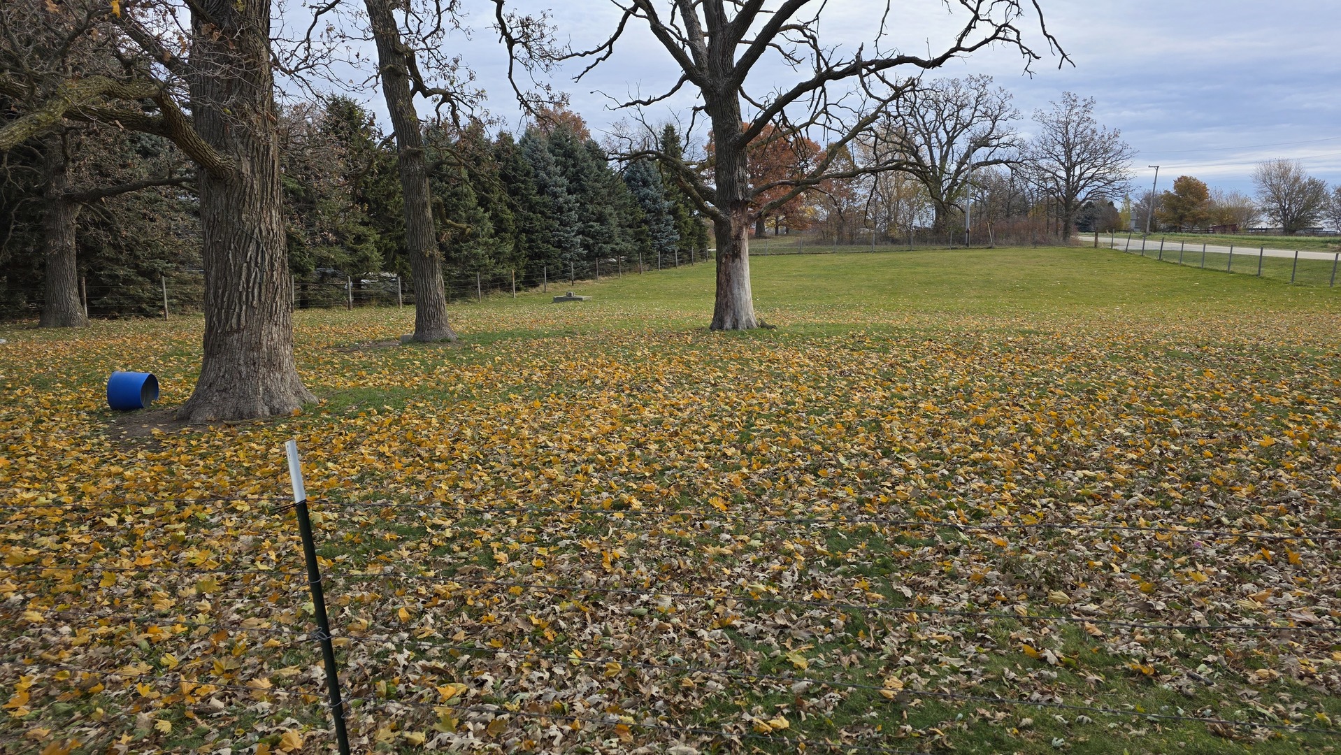 3494 Howlett Road Paw Paw, IL 61353 - Photo 18 of 21 a view of a yard with a tree