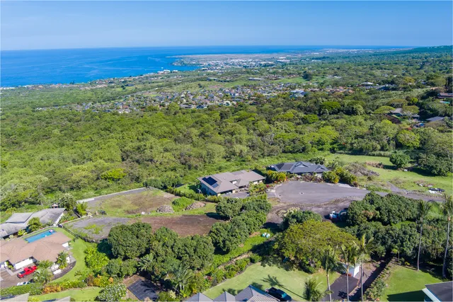 an aerial view of residential houses with outdoor space and trees
