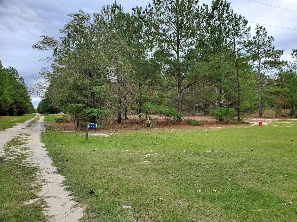 6331 Reynolds Road Blackville, SC 29817 - Photo 11 of 15 Gallery Image 11