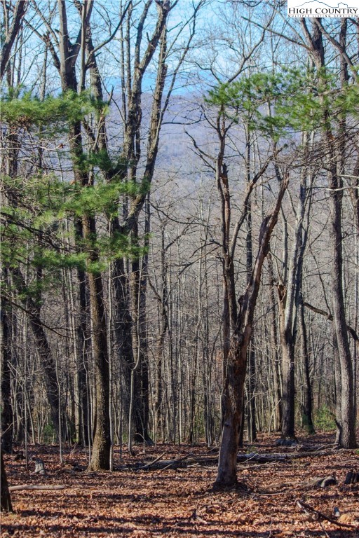 2210 Nighthawk Ridge Court Lenoir, NC 28645 - Photo 2 of 9