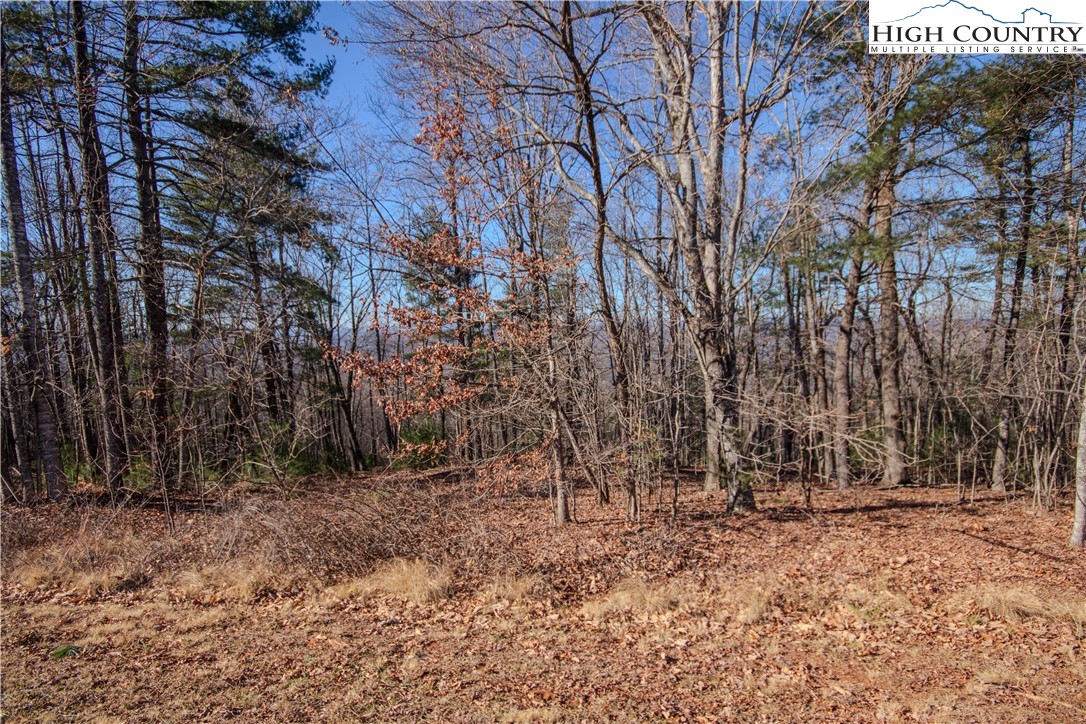 2210 Nighthawk Ridge Court Lenoir, NC 28645 - Photo 3 of 9