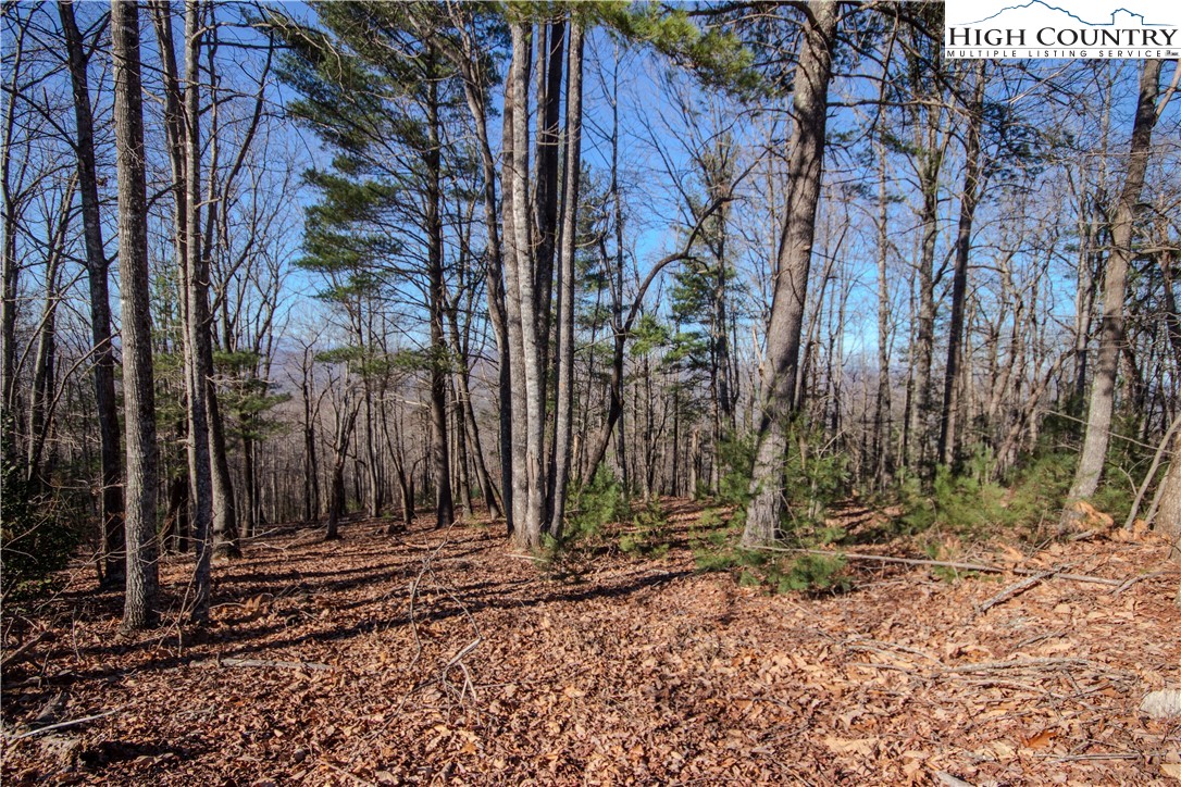 2210 Nighthawk Ridge Court Lenoir, NC 28645 - Photo 4 of 9