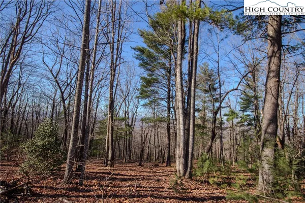 $89,000 | 2210 Nighthawk Ridge Court, Lenoir, NC 28645