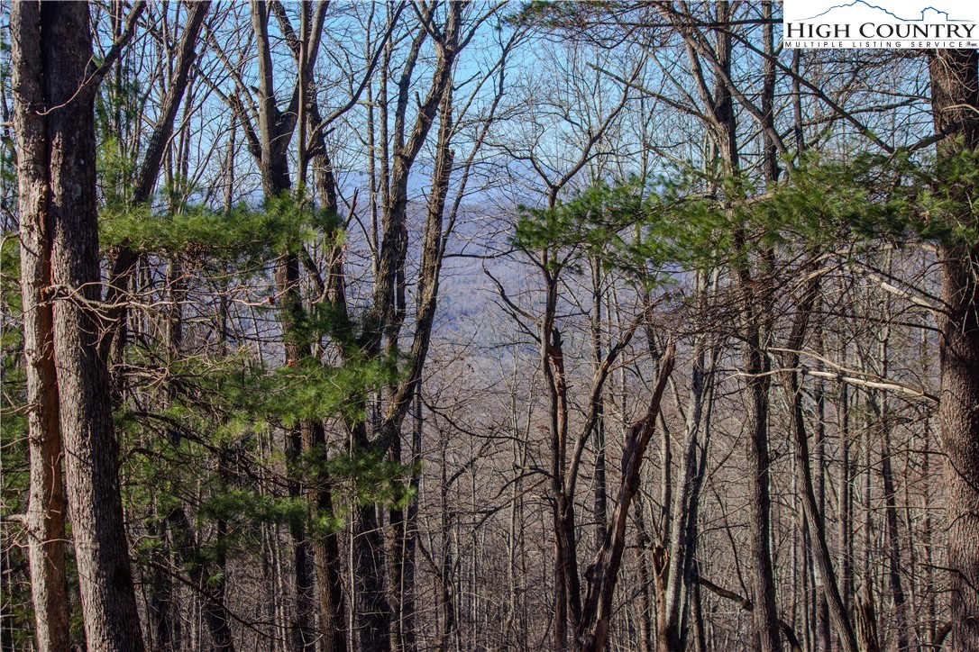 2210 Nighthawk Ridge Court Lenoir, NC 28645 - Photo 7 of 9