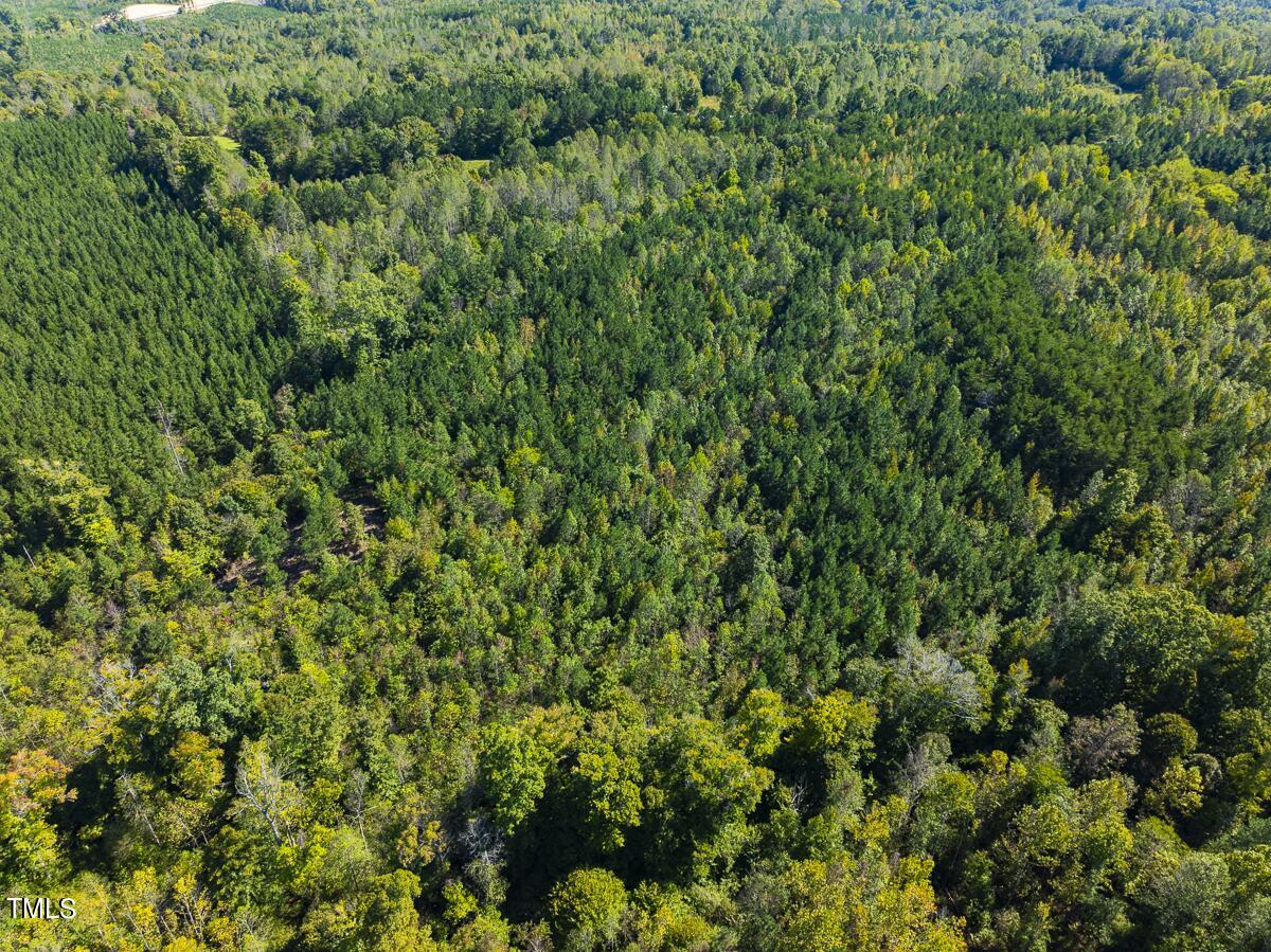Lot-8-00 Wilson Road Providence, NC 27315 - Photo 9 of 45 Caswell Co. NC 16.55-Backwoods-Lot 8-09