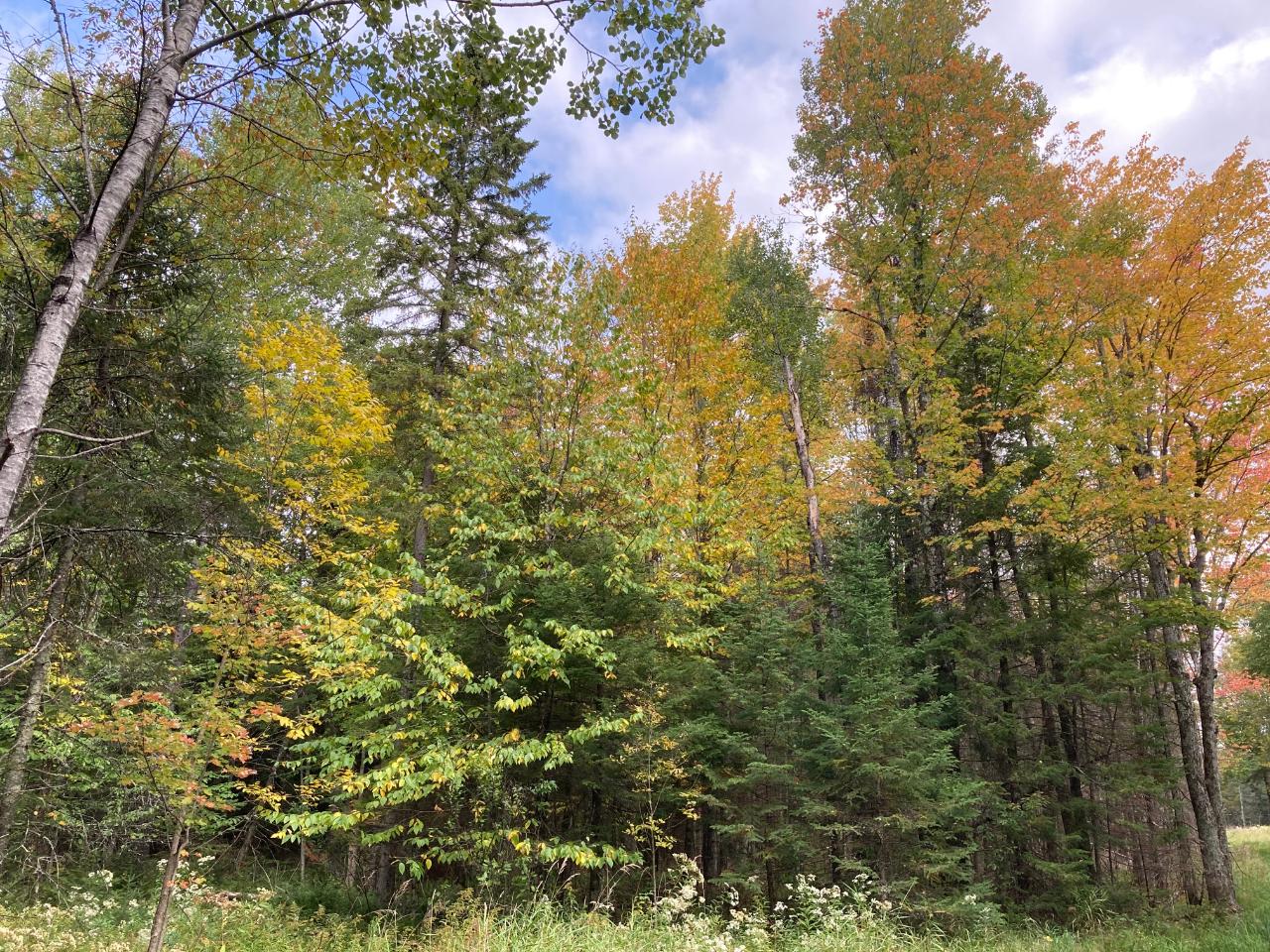 10639 Old 8 Road Crandon, WI 54520 - Photo 1 of 1 Gallery Image 1