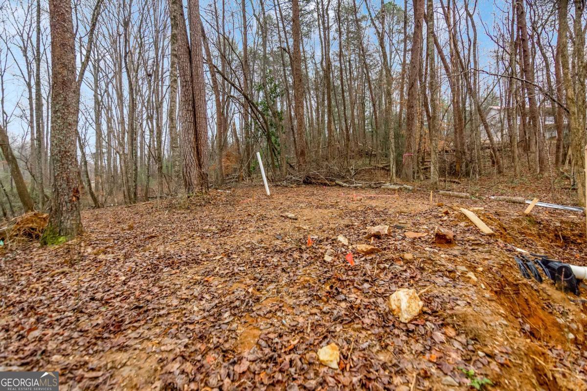 3 Hideaway Place Morganton, GA 30560 - Photo 6 of 12