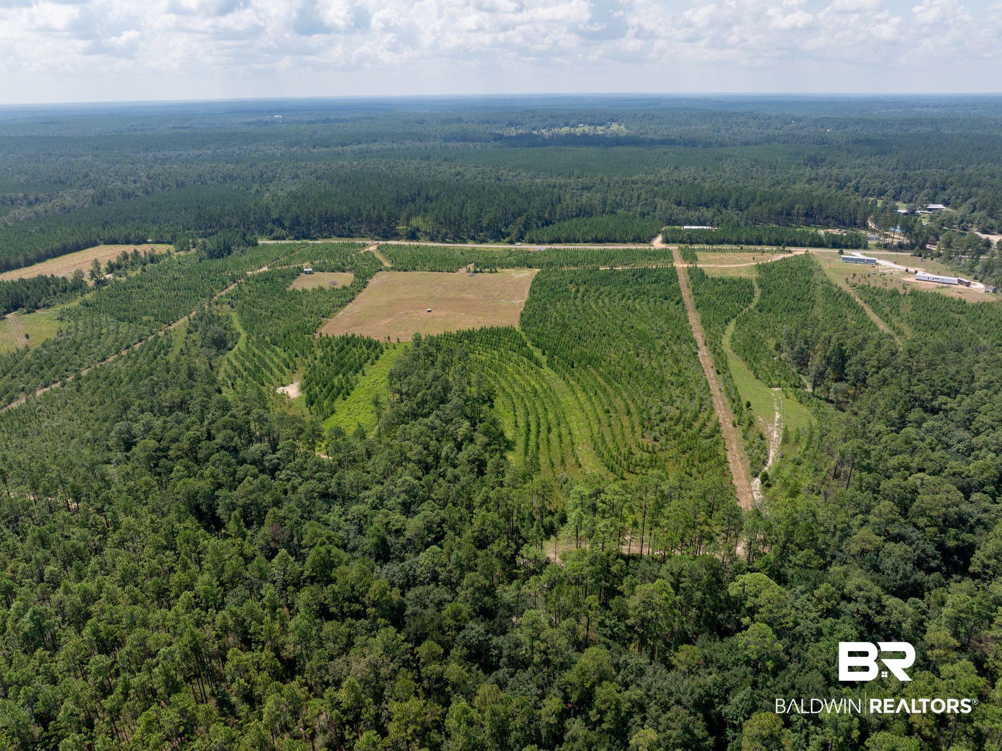 0 Horseneck Road Bay Minette, AL 36507 - Photo 6 of 11