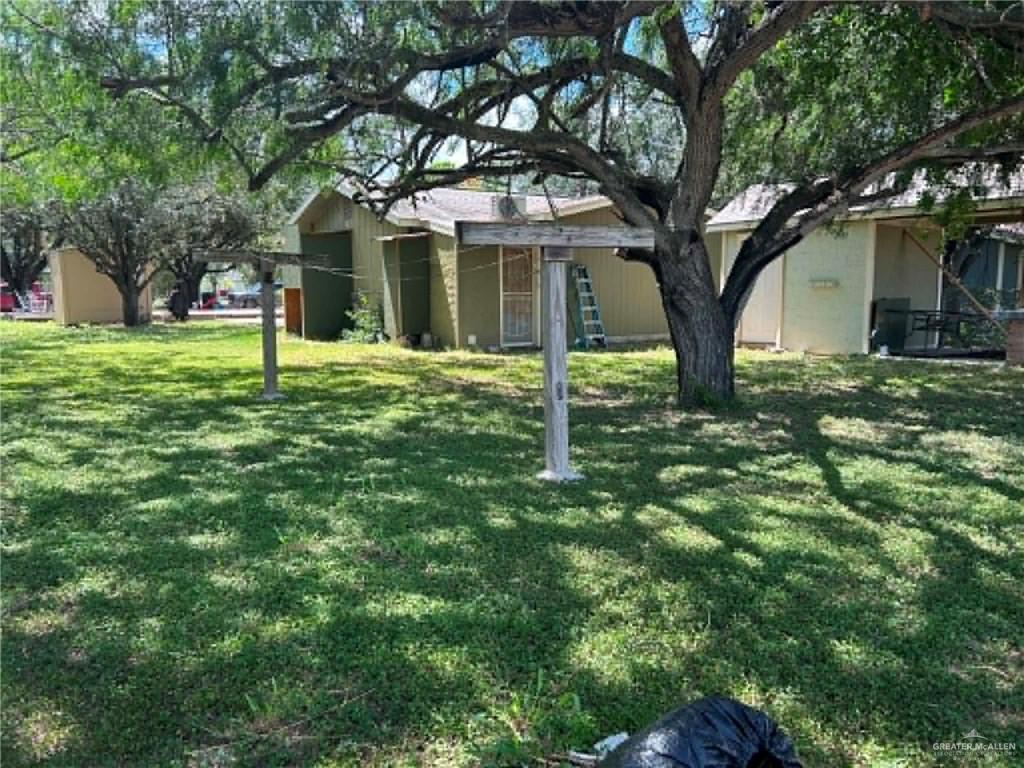 1104 Esperanza Road Alamo, TX 78516 - Photo 18 of 21 a large tree in middle of the garden