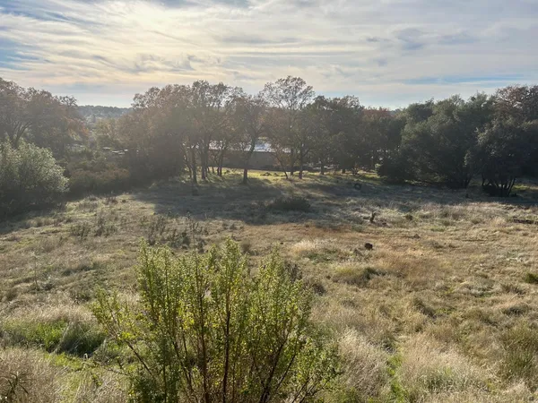 a view of a yard with a mountain
