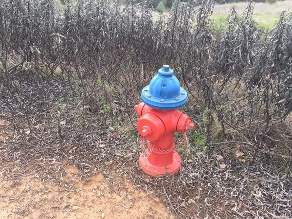 a view of a wooden fence with a fire pit