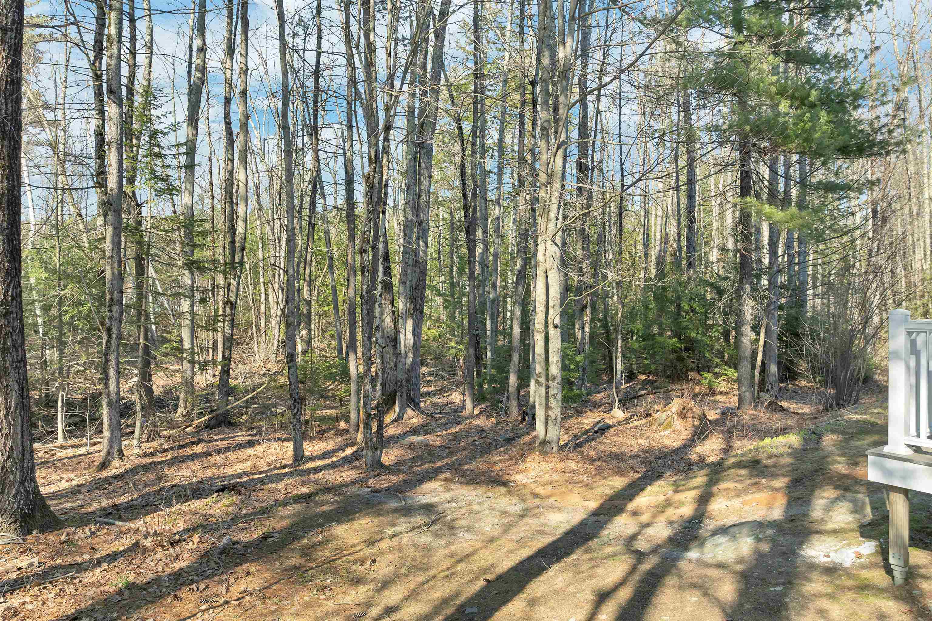 79 Woodland Green, Unit 79 Rochester, NH 03868 - Photo 27 of 35