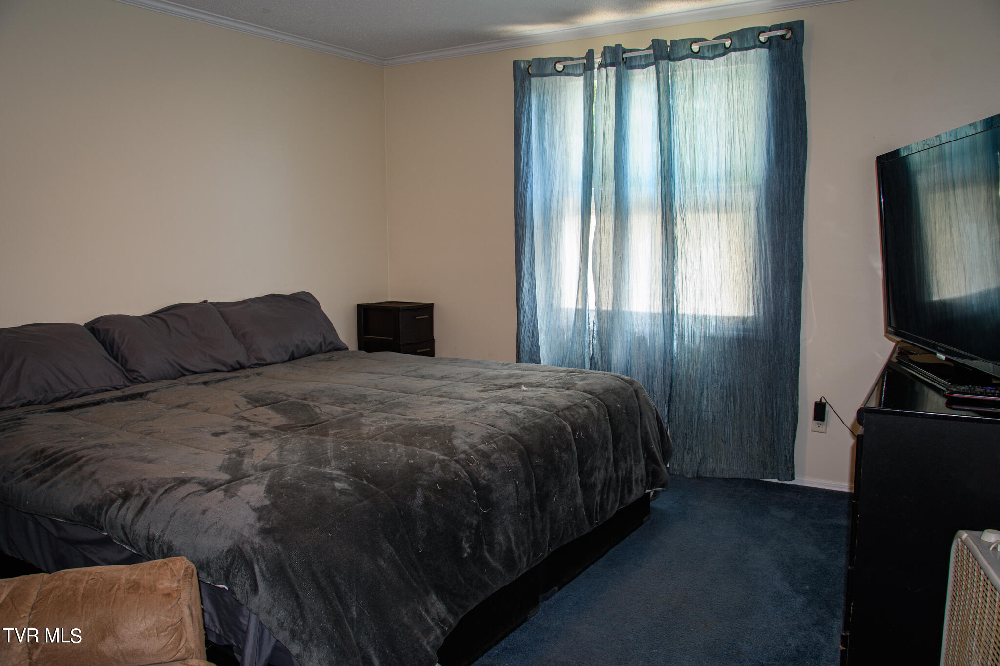 310 Jay Fanning Road Afton, TN 37616 - Photo 12 of 24 310 Jay Fanning