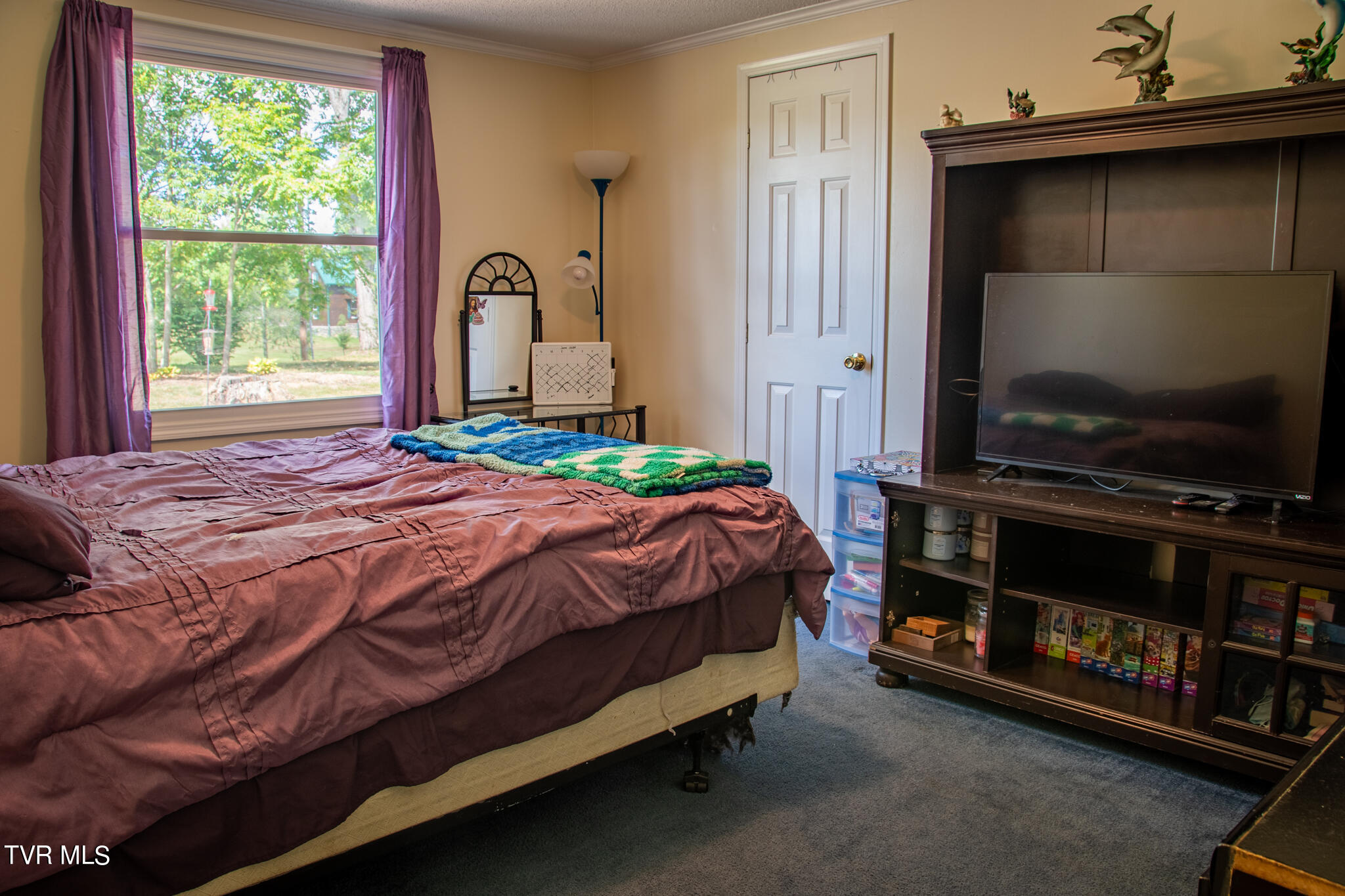 310 Jay Fanning Road Afton, TN 37616 - Photo 13 of 24 310 Jay Fanning-5