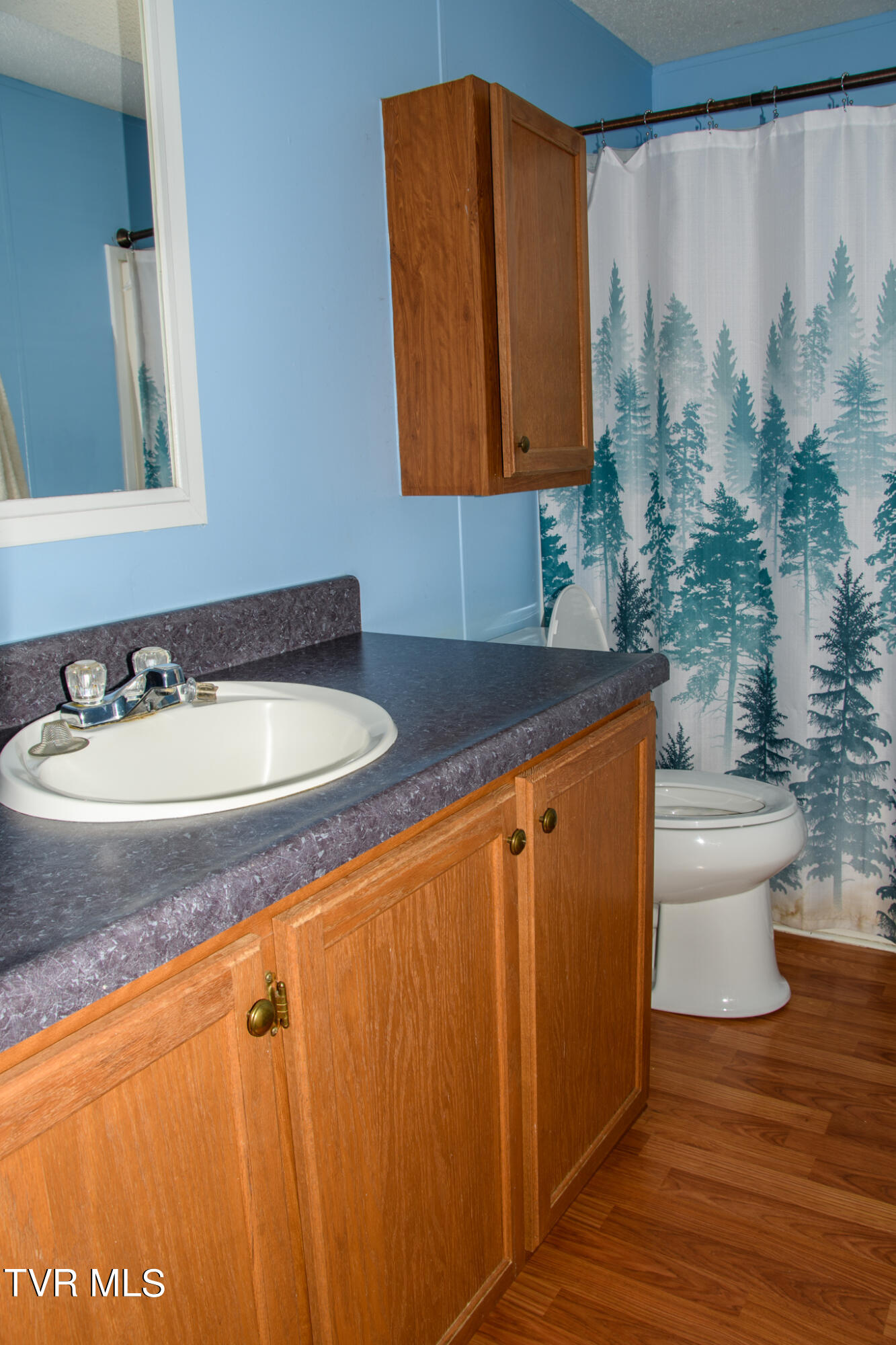 310 Jay Fanning Road Afton, TN 37616 - Photo 14 of 24 Bath