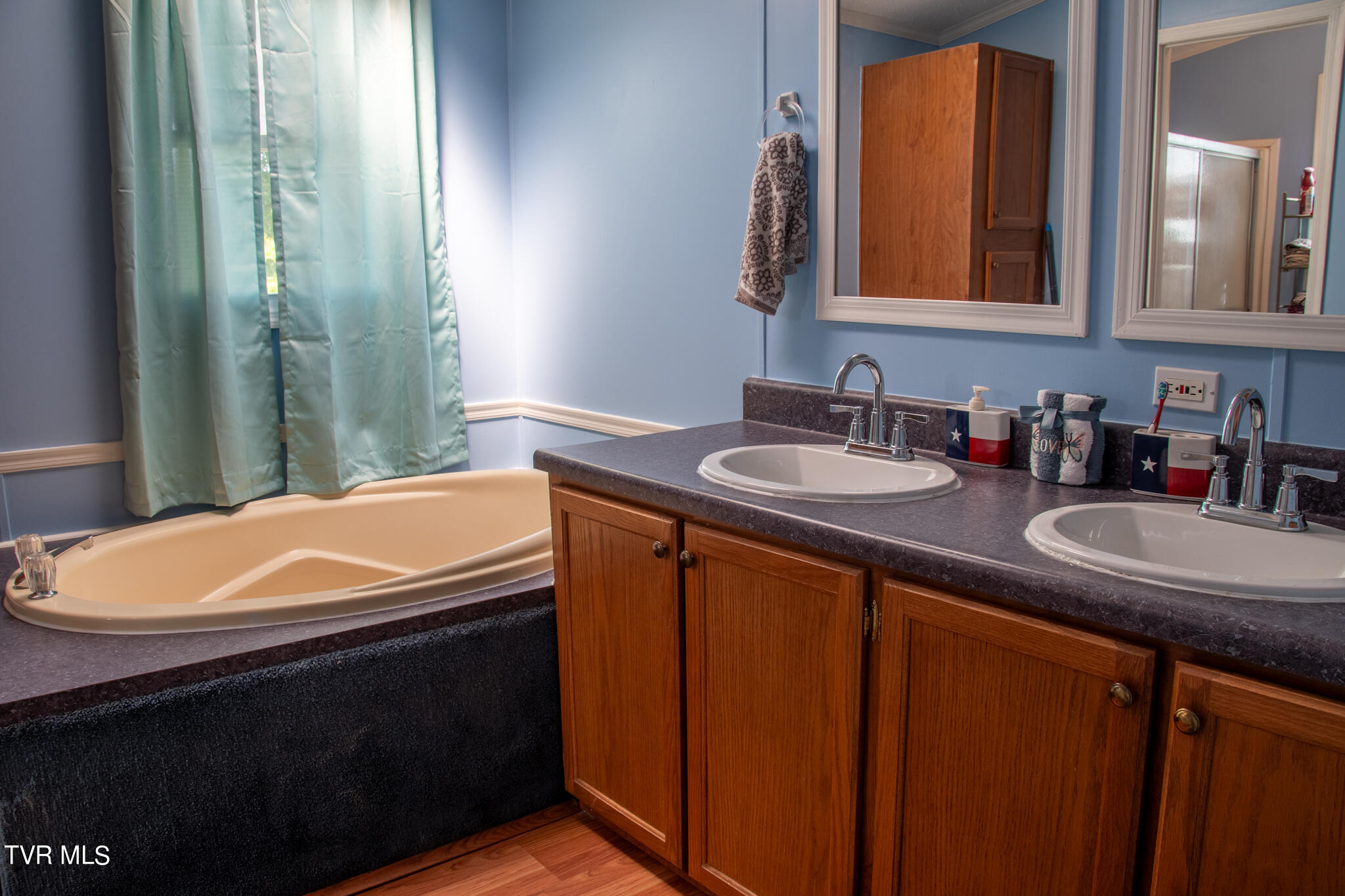 310 Jay Fanning Road Afton, TN 37616 - Photo 15 of 24 Primary bath
