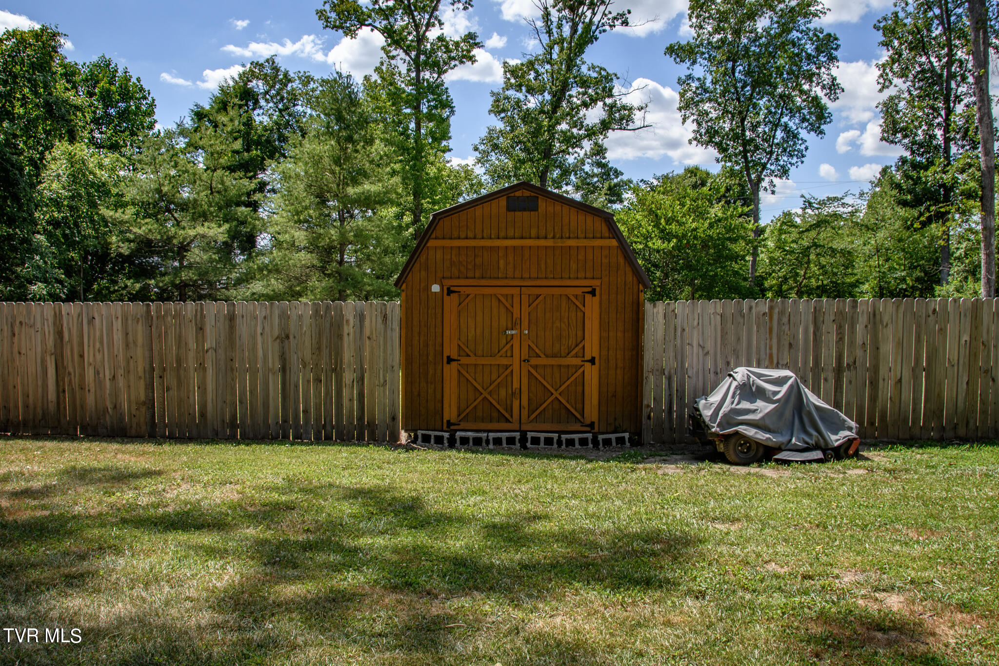 310 Jay Fanning Road Afton, TN 37616 - Photo 19 of 24 Shed