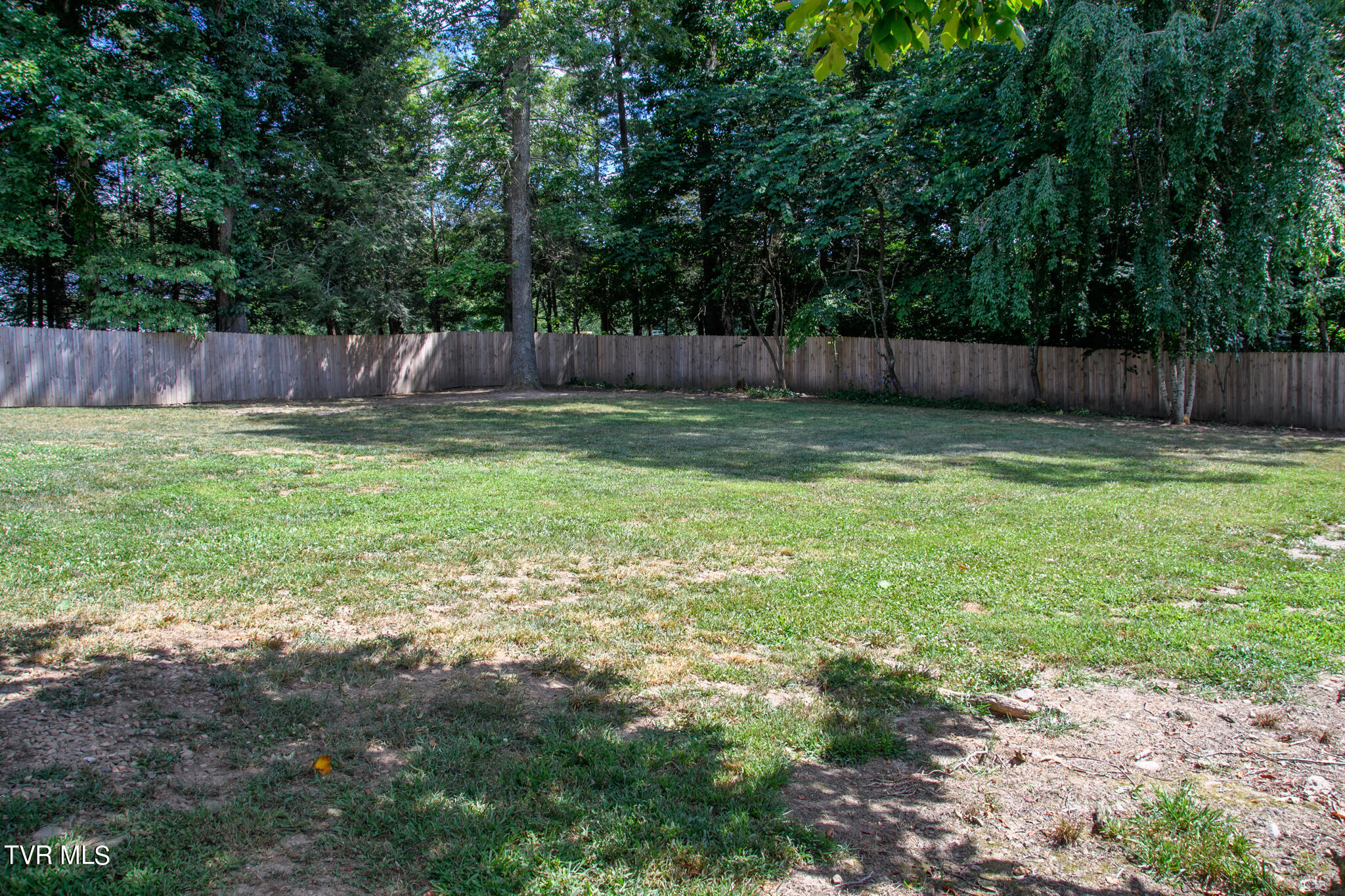 310 Jay Fanning Road Afton, TN 37616 - Photo 24 of 24 Yard