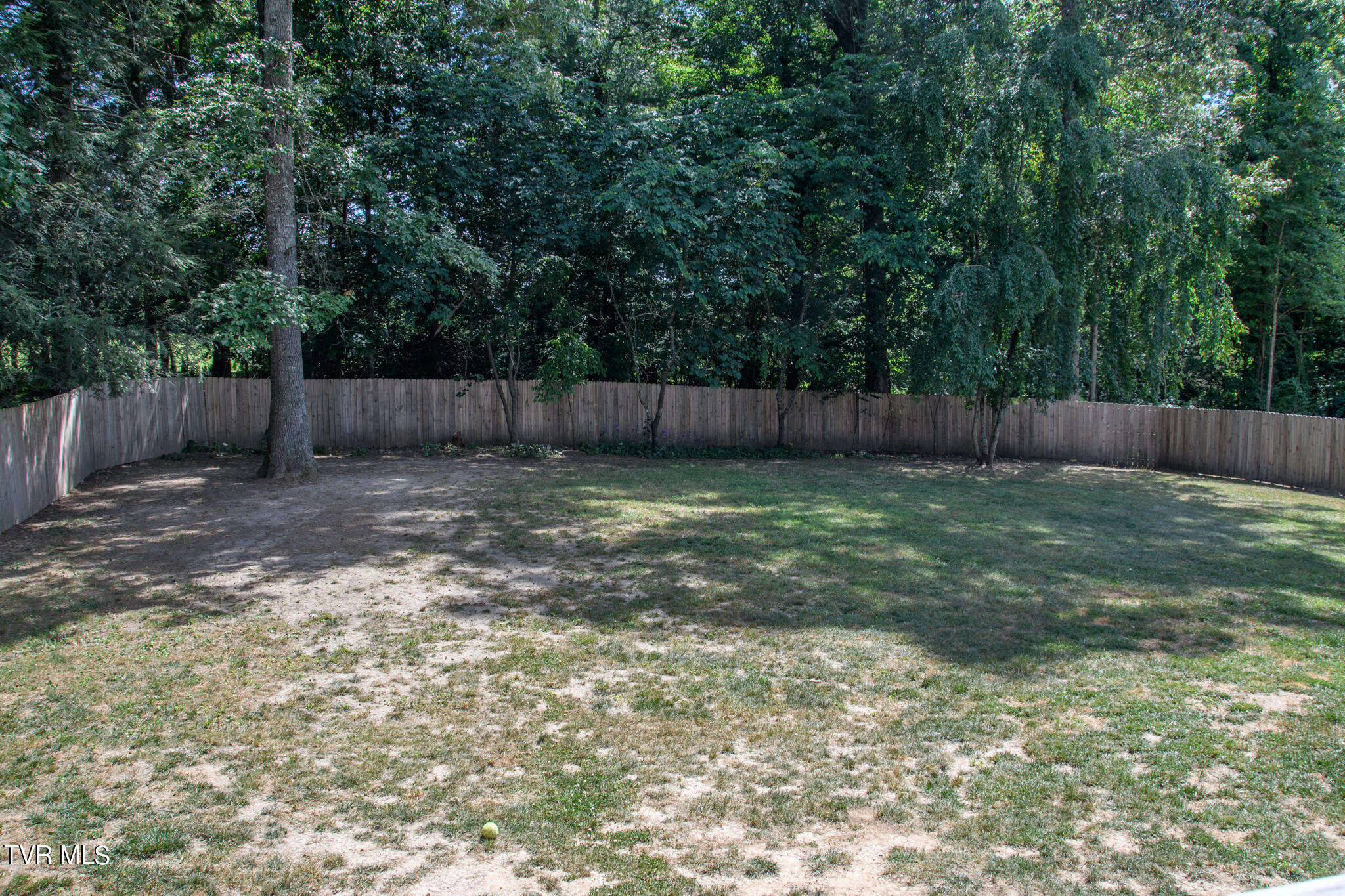 310 Jay Fanning Road Afton, TN 37616 - Photo 3 of 24 Rear Yard