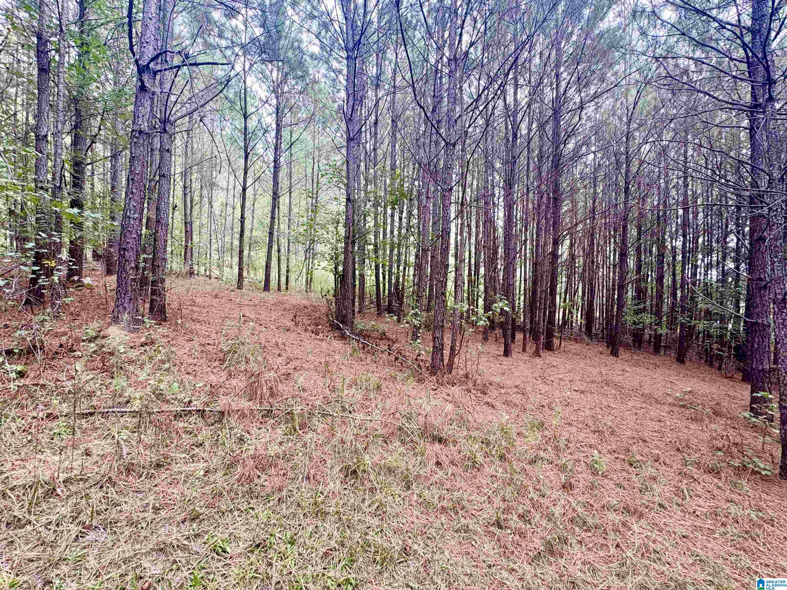 55 Honeycutt Road, Unit 55 Remlap, AL 35133 - Photo 10 of 21