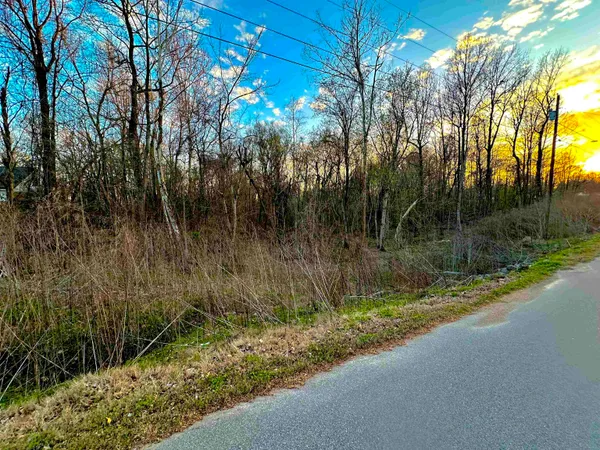 $45,000 | 0 Susan Circle, Drummonds, TN 38023