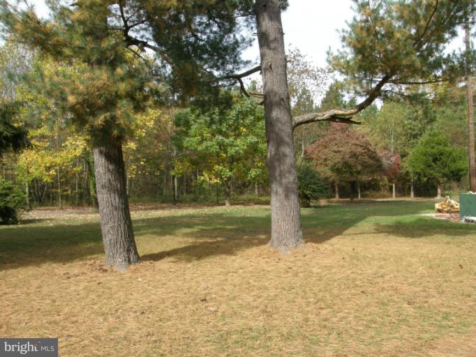 6885 Harmony Road Preston, MD 21655 - Photo 3 of 22 a view of a yard with trees