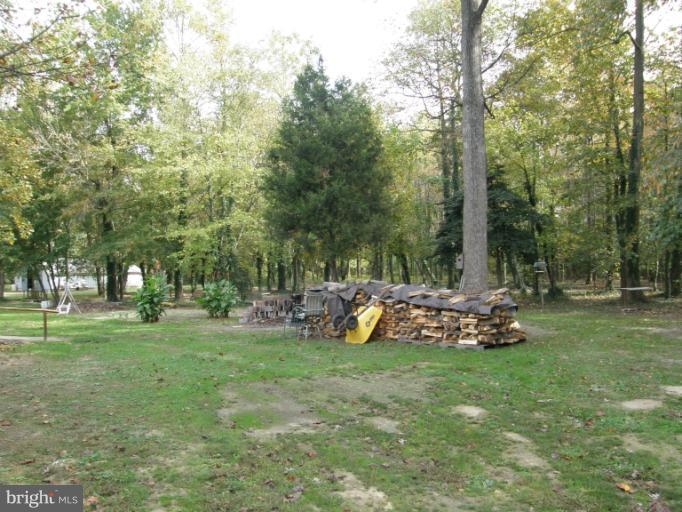 6885 Harmony Road Preston, MD 21655 - Photo 6 of 22 a view of a park with large trees