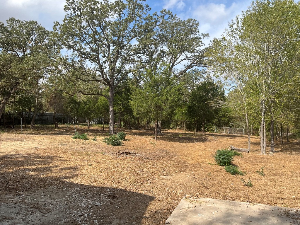 204 Overhill Road Bastrop, TX 78602 - Photo 4 of 18 a view of a yard with trees