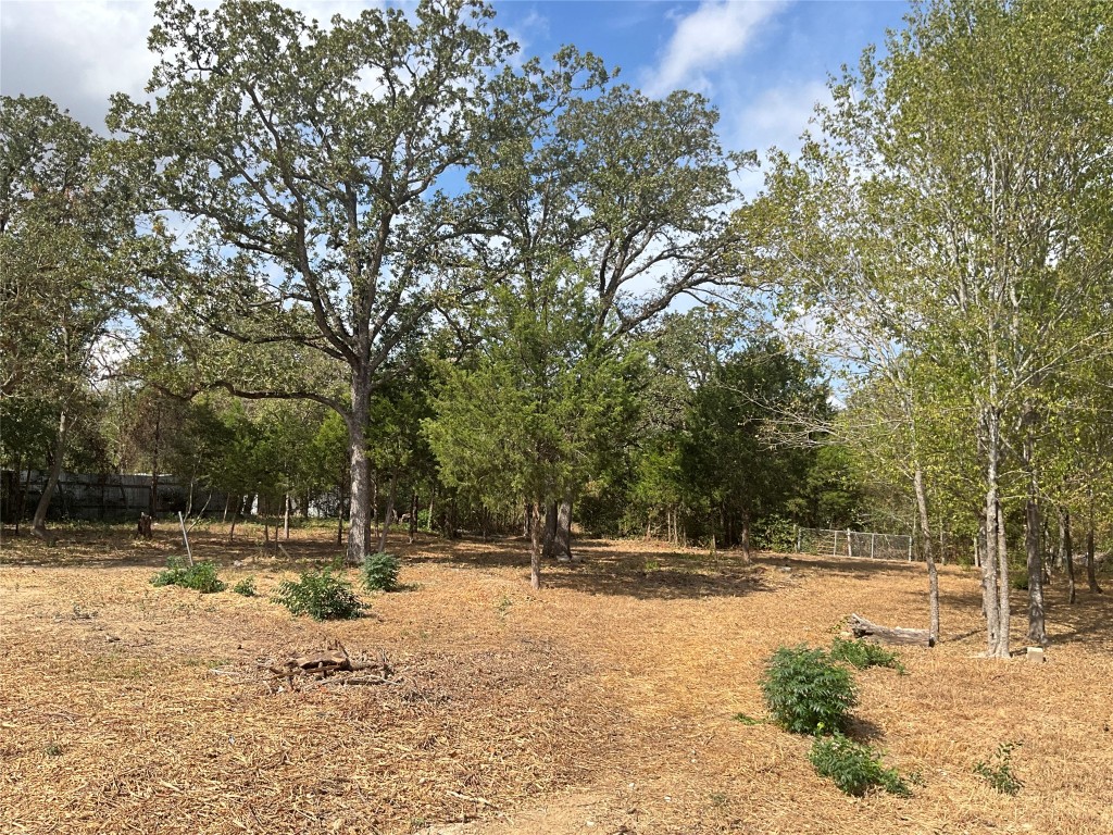 204 Overhill Road Bastrop, TX 78602 - Photo 5 of 18 a view of swimming pool with a yard