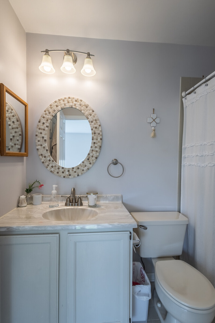 36102 North Springbrook Lane Gurnee, IL 60031 - Photo 19 of 21 a bathroom with a sink mirror vanity and toilet