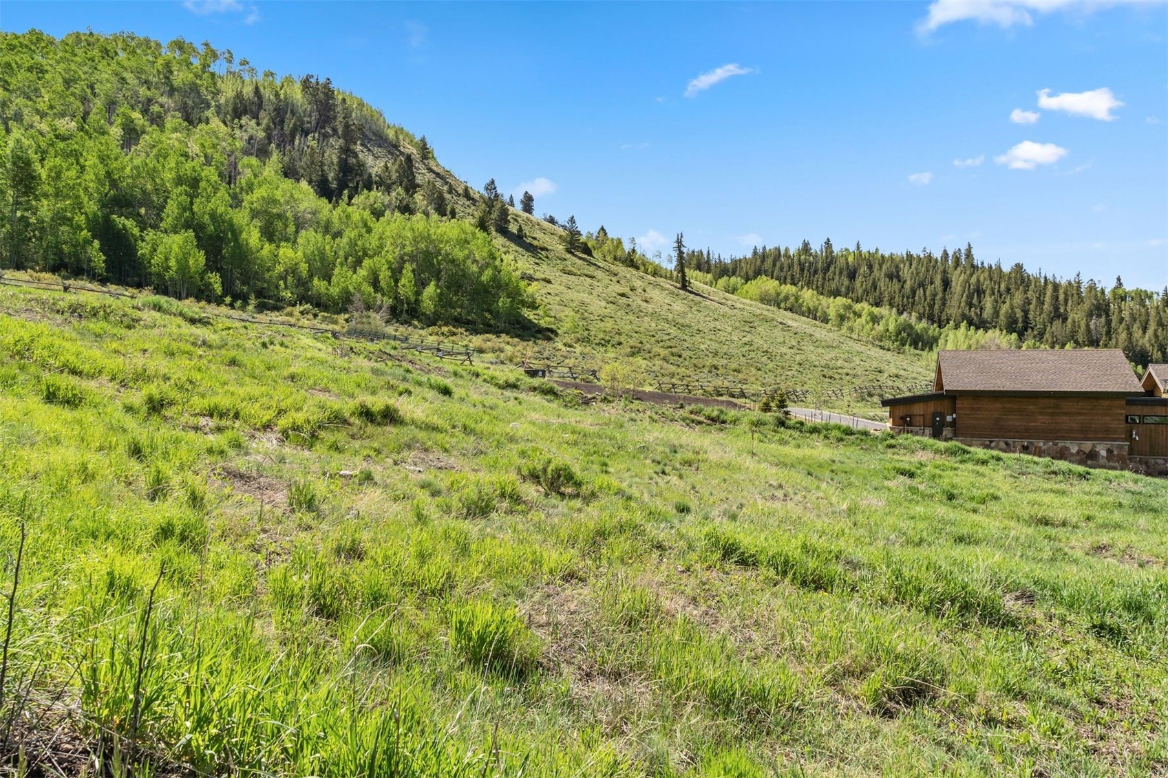 239 Angler Mountain Ranch Road North Silverthorne, CO 80498 - Photo 15 of 27 View of yard with a rural view