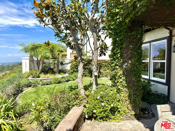 a view of a yard with plants